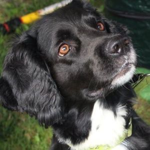 Meet your Posher, Tiphani